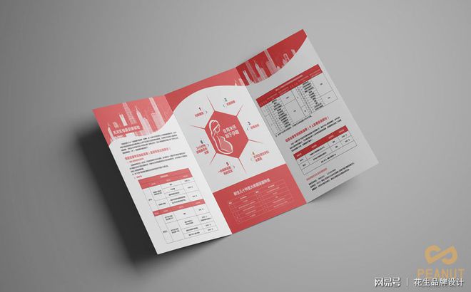 bat365中文官方网站三折页宣传册设计的4大方式-花生品牌设计(图1)